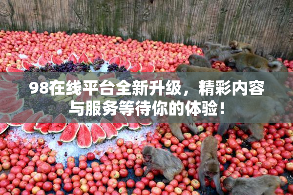 98在线平台全新升级，精彩内容与服务等待你的体验！