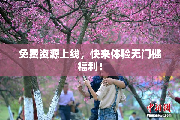 免费资源上线，快来体验无门槛福利！