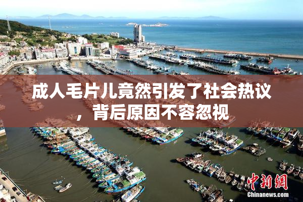 成人毛片儿竟然引发了社会热议，背后原因不容忽视