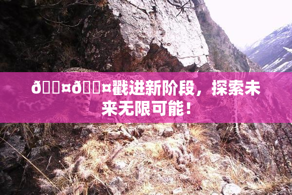🐤🐤戳进新阶段，探索未来无限可能！