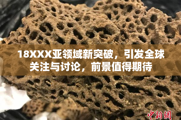 18XXX亚领域新突破，引发全球关注与讨论，前景值得期待