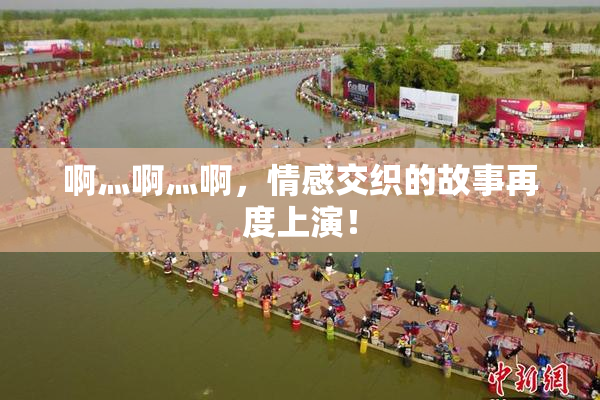 啊灬啊灬啊，情感交织的故事再度上演！