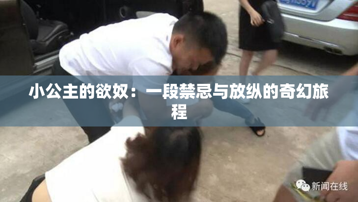 小公主的欲奴：一段禁忌与放纵的奇幻旅程