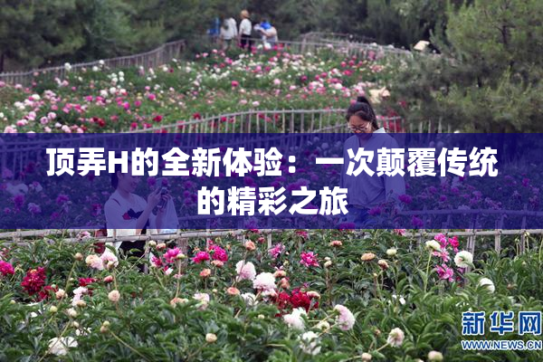 顶弄H的全新体验：一次颠覆传统的精彩之旅