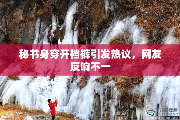 秘书身穿开裆裤引发热议，网友反响不一