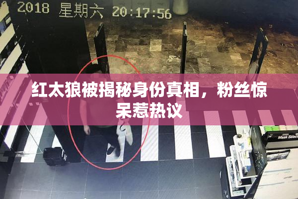 红太狼被揭秘身份真相，粉丝惊呆惹热议