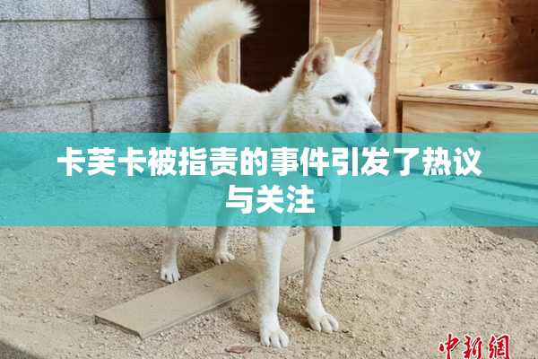 卡芙卡被指责的事件引发了热议与关注