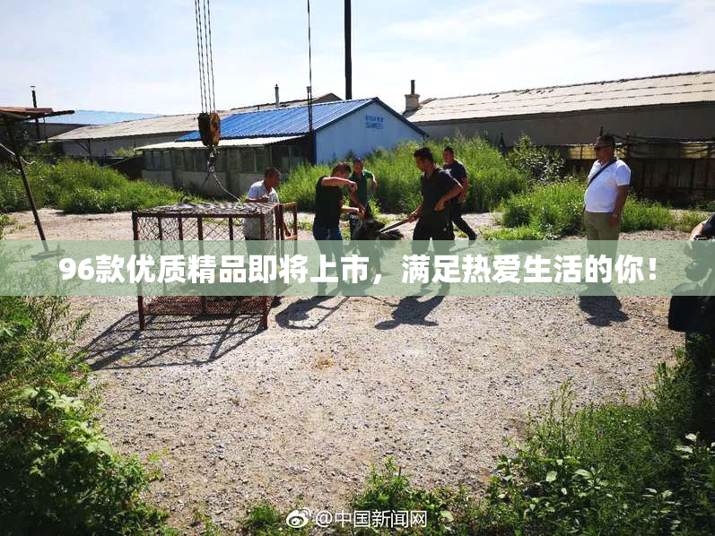 96款优质精品即将上市，满足热爱生活的你！