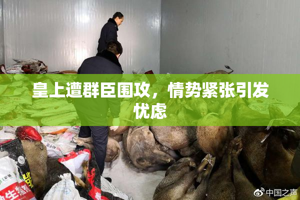 皇上遭群臣围攻，情势紧张引发忧虑