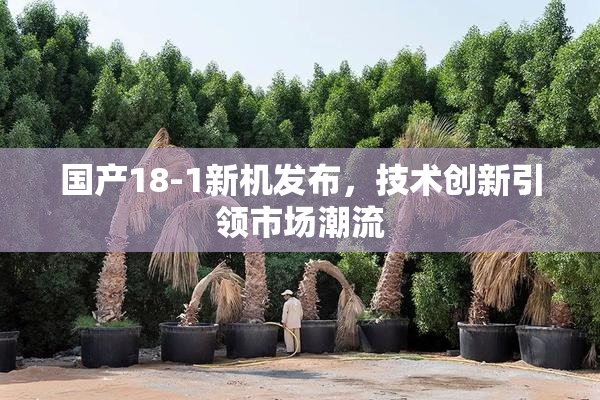 国产18-1新机发布，技术创新引领市场潮流