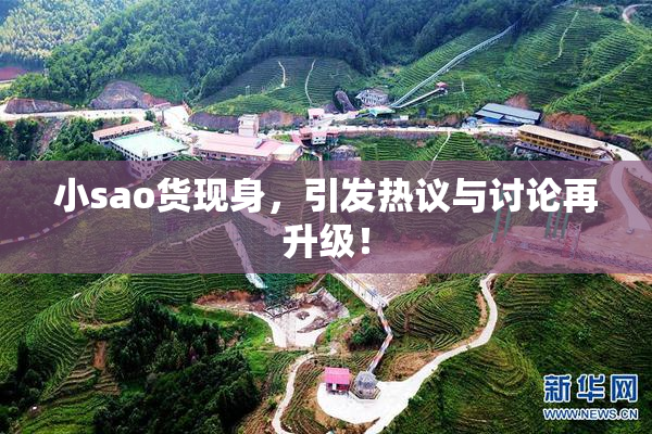 小sao货现身，引发热议与讨论再升级！