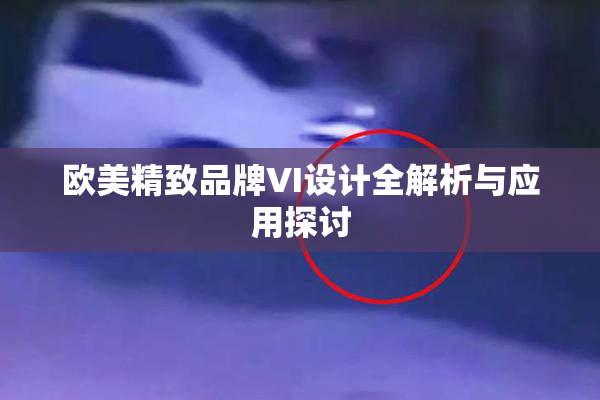 欧美精致品牌VI设计全解析与应用探讨