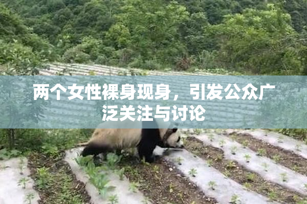 两个女性裸身现身，引发公众广泛关注与讨论