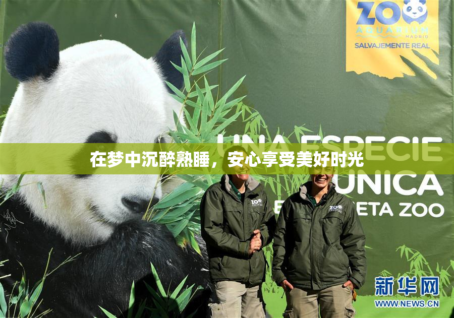 在梦中沉醉熟睡，安心享受美好时光