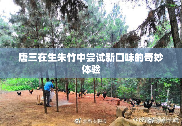 唐三在生朱竹中尝试新口味的奇妙体验