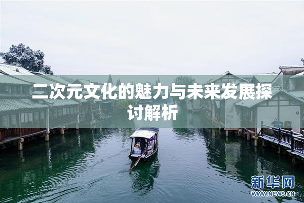 二次元文化的魅力与未来发展探讨解析