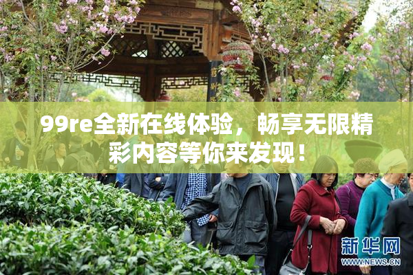 99re全新在线体验，畅享无限精彩内容等你来发现！