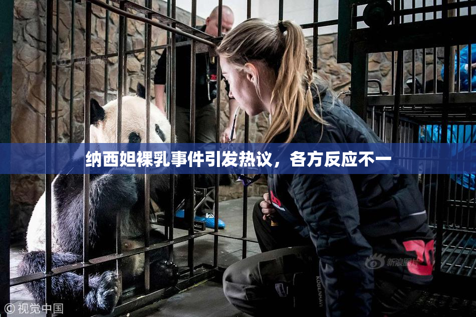 纳西妲裸乳事件引发热议，各方反应不一
