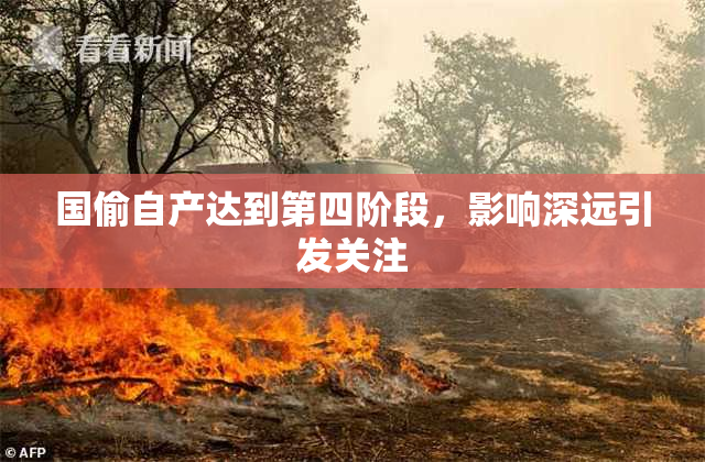 国偷自产达到第四阶段，影响深远引发关注