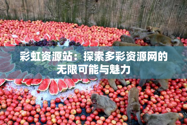 彩虹资源站：探索多彩资源网的无限可能与魅力