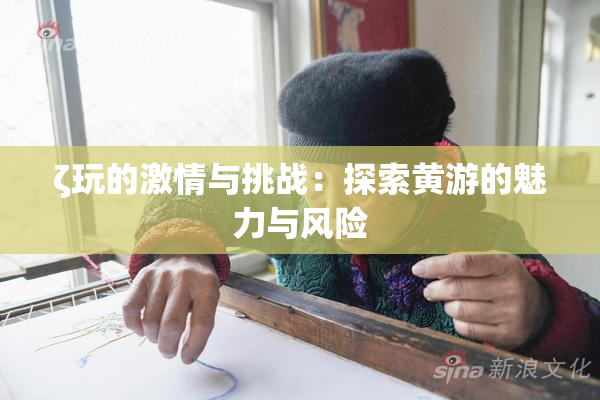ζ玩的激情与挑战：探索黄游的魅力与风险