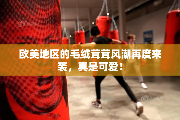 欧美地区的毛绒茸茸风潮再度来袭，真是可爱！