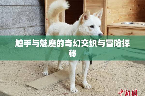 触手与魅魔的奇幻交织与冒险探秘