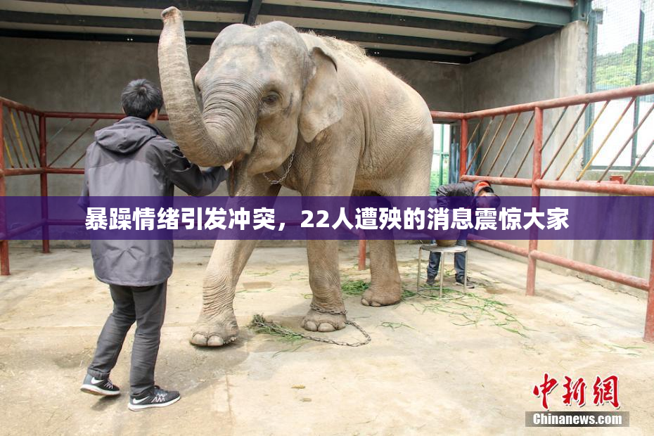 暴躁情绪引发冲突，22人遭殃的消息震惊大家