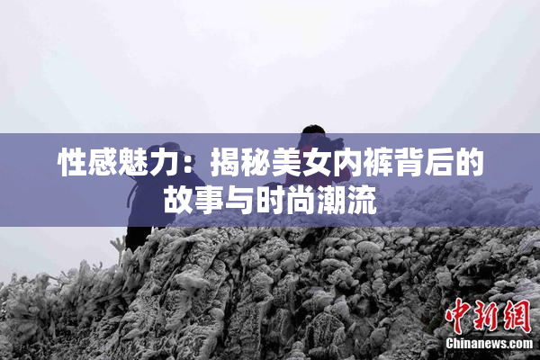 性感魅力：揭秘美女内裤背后的故事与时尚潮流