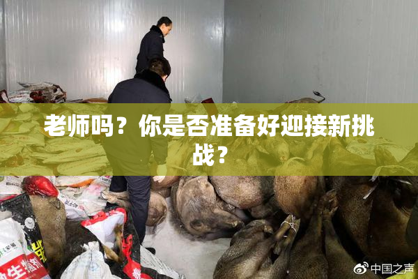 老师吗？你是否准备好迎接新挑战？