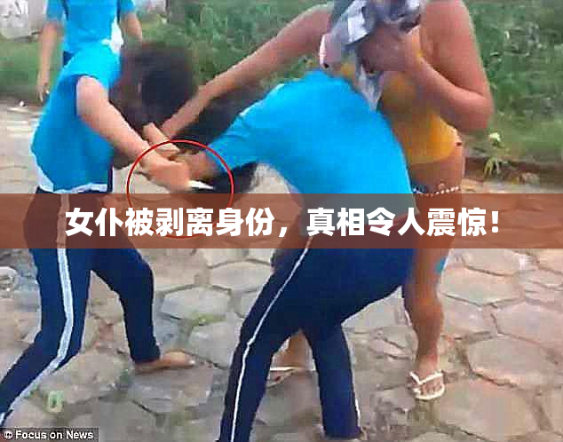 女仆被剥离身份，真相令人震惊！