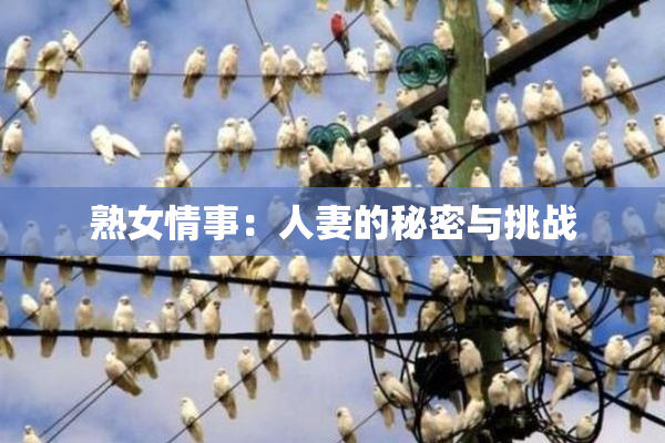 熟女情事：人妻的秘密与挑战