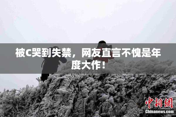 被C哭到失禁，网友直言不愧是年度大作！