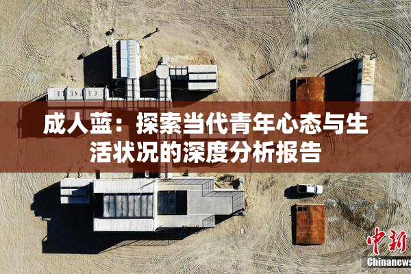 成人蓝：探索当代青年心态与生活状况的深度分析报告