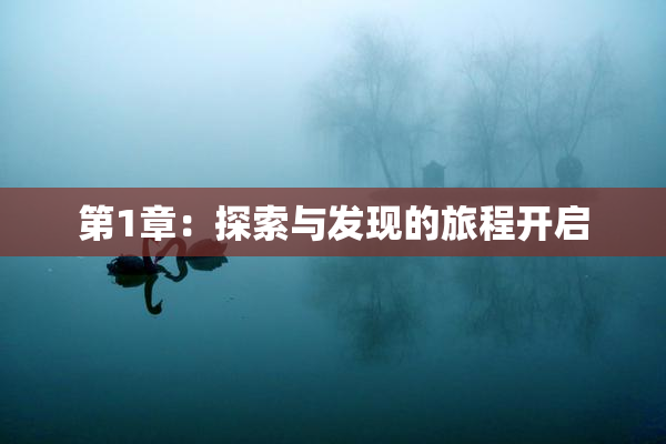 第1章：探索与发现的旅程开启
