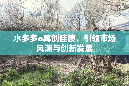 水多多a再创佳绩，引领市场风潮与创新发展