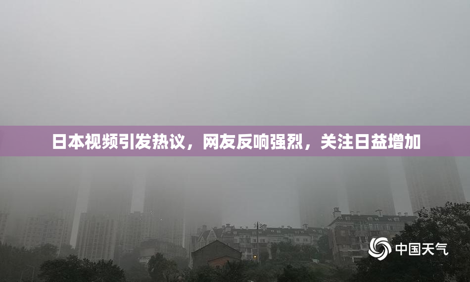日本视频引发热议，网友反响强烈，关注日益增加