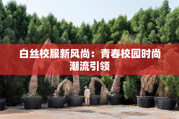 白丝校服新风尚：青春校园时尚潮流引领