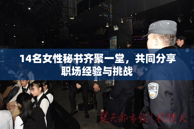 14名女性秘书齐聚一堂，共同分享职场经验与挑战