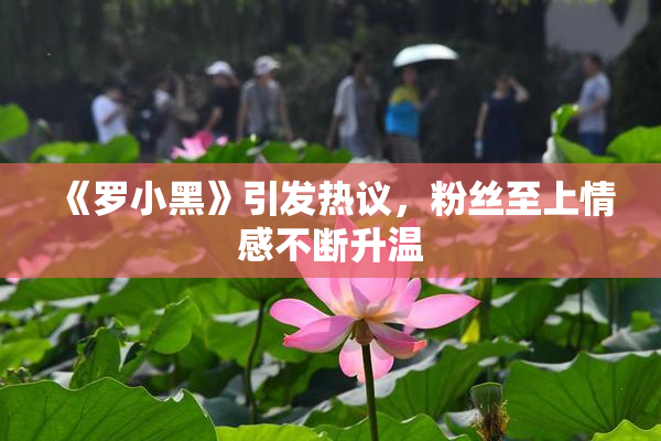 《罗小黑》引发热议，粉丝至上情感不断升温