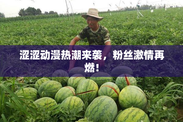 涩涩动漫热潮来袭，粉丝激情再燃！