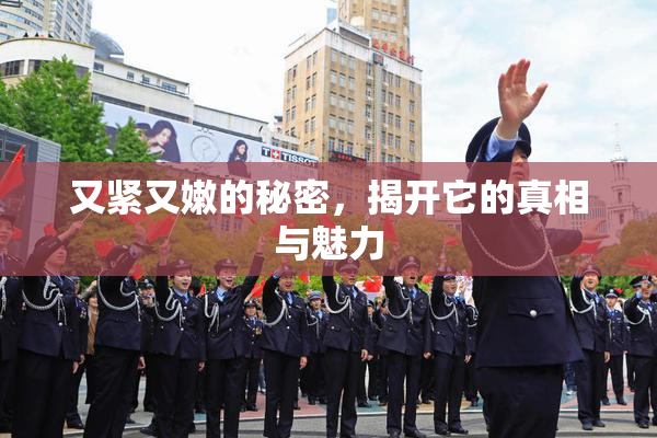 又紧又嫩的秘密，揭开它的真相与魅力