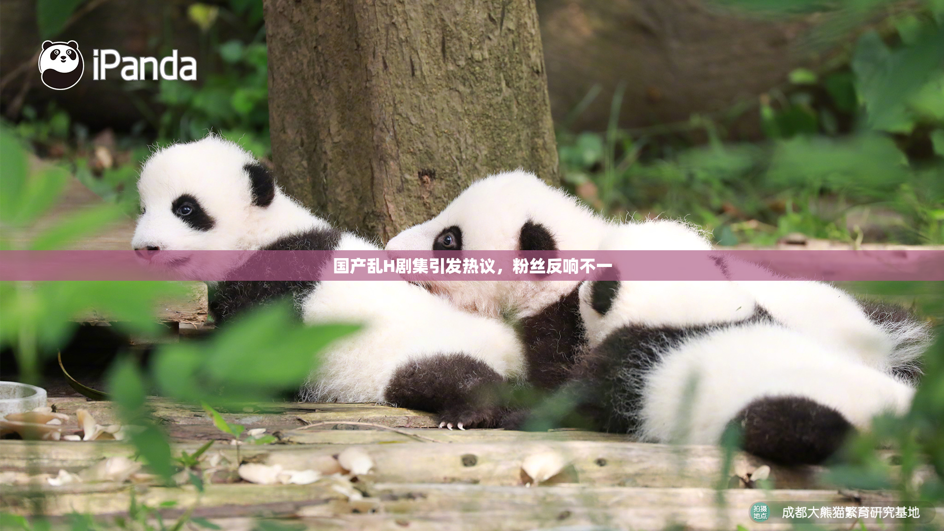 国产乱H剧集引发热议，粉丝反响不一