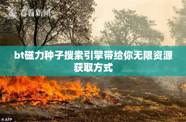 bt磁力种子搜索引擎带给你无限资源获取方式