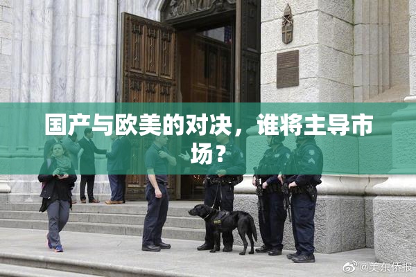 国产与欧美的对决，谁将主导市场？