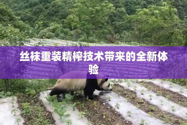 丝袜重装精榨技术带来的全新体验