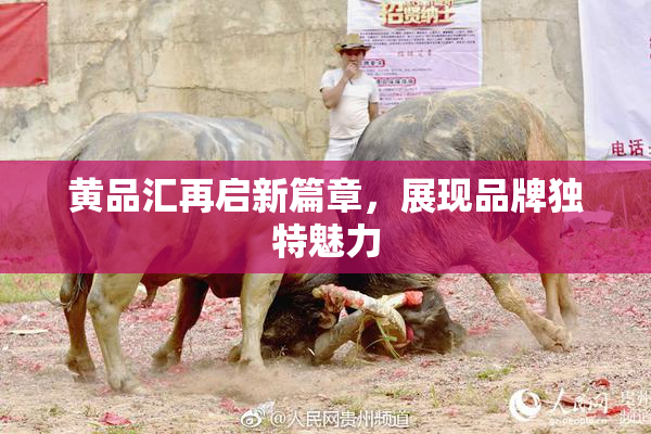 黄品汇再启新篇章，展现品牌独特魅力