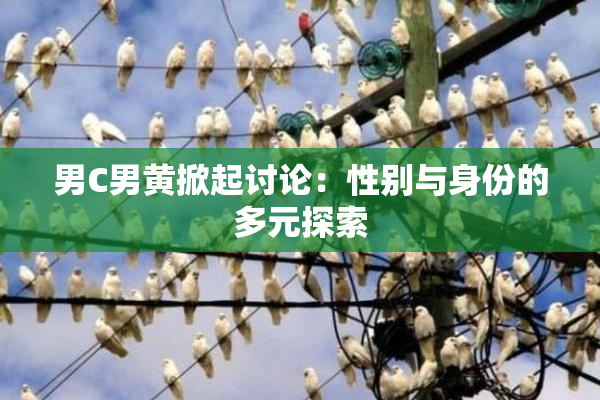 男C男黄掀起讨论：性别与身份的多元探索