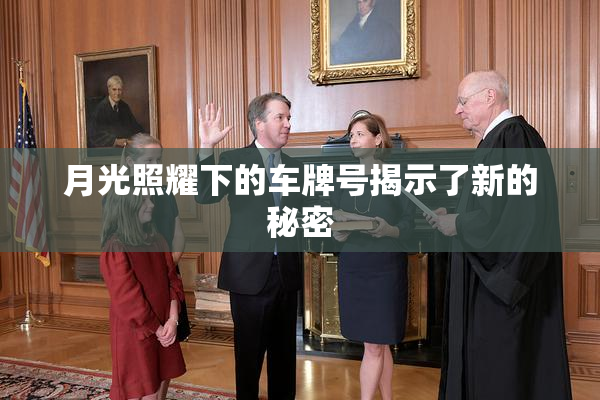 月光照耀下的车牌号揭示了新的秘密