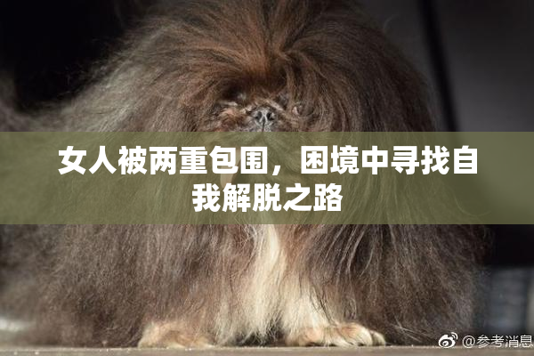 女人被两重包围，困境中寻找自我解脱之路
